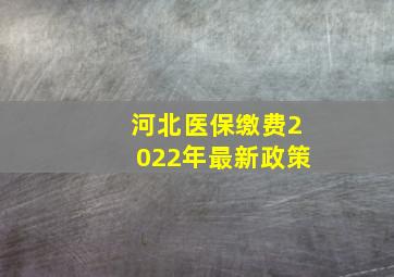 河北医保缴费2022年最新政策