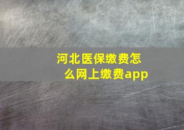 河北医保缴费怎么网上缴费app