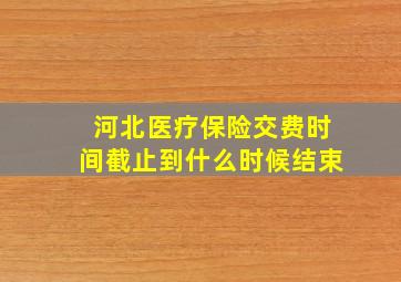 河北医疗保险交费时间截止到什么时候结束