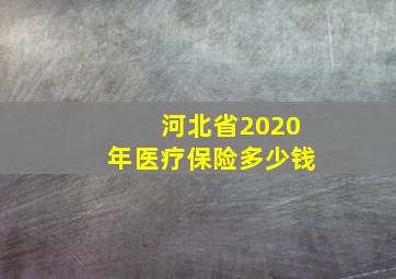 河北省2020年医疗保险多少钱