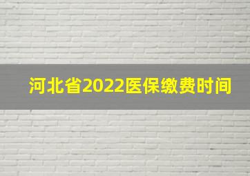 河北省2022医保缴费时间