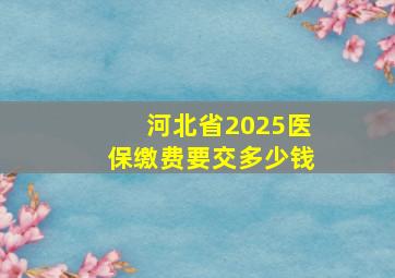 河北省2025医保缴费要交多少钱