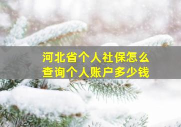 河北省个人社保怎么查询个人账户多少钱