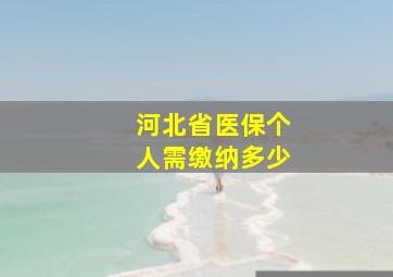 河北省医保个人需缴纳多少