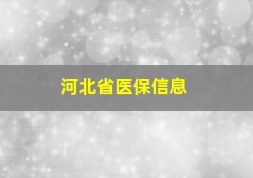 河北省医保信息