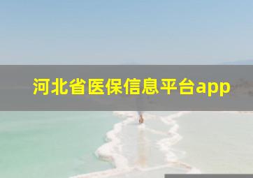 河北省医保信息平台app