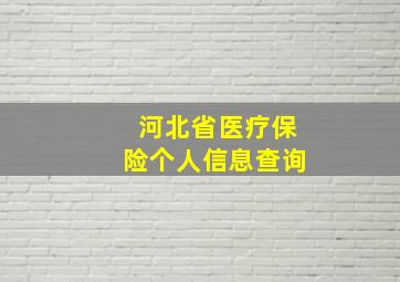 河北省医疗保险个人信息查询