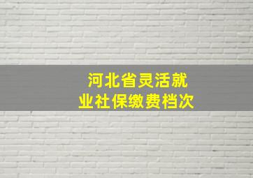 河北省灵活就业社保缴费档次