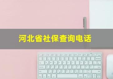 河北省社保查询电话