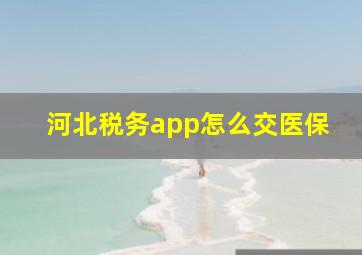 河北税务app怎么交医保