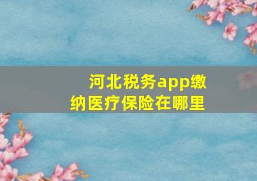 河北税务app缴纳医疗保险在哪里