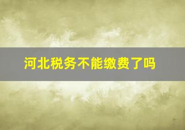 河北税务不能缴费了吗