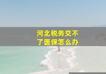 河北税务交不了医保怎么办