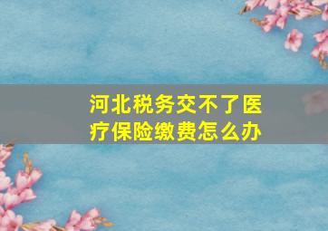 河北税务交不了医疗保险缴费怎么办