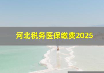 河北税务医保缴费2025