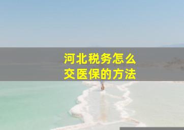 河北税务怎么交医保的方法