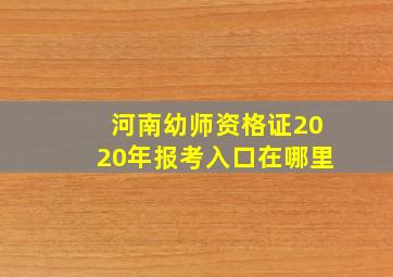 河南幼师资格证2020年报考入口在哪里