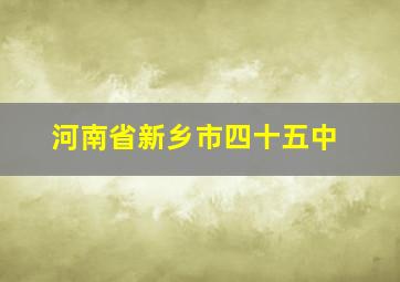 河南省新乡市四十五中