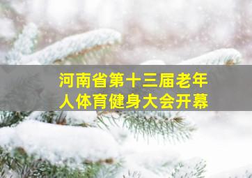 河南省第十三届老年人体育健身大会开幕