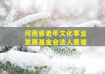 河南省老年文化事业发展基金会法人是谁