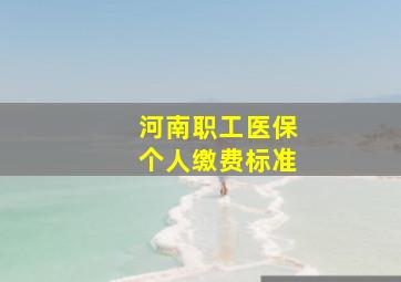 河南职工医保个人缴费标准