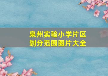 泉州实验小学片区划分范围图片大全