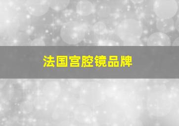 法国宫腔镜品牌