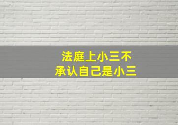 法庭上小三不承认自己是小三