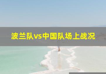 波兰队vs中国队场上战况