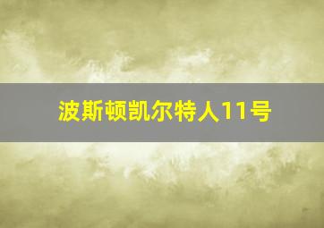 波斯顿凯尔特人11号