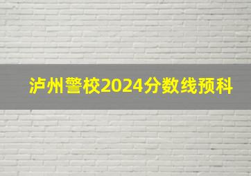 泸州警校2024分数线预科