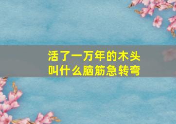 活了一万年的木头叫什么脑筋急转弯