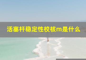 活塞杆稳定性校核m是什么