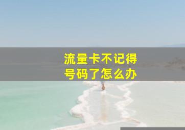 流量卡不记得号码了怎么办