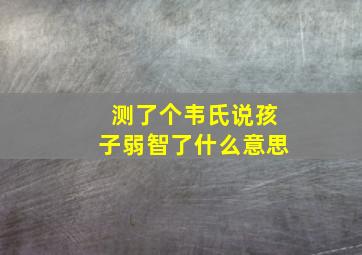 测了个韦氏说孩子弱智了什么意思