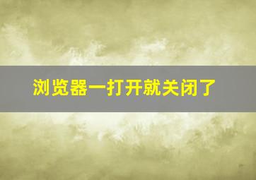 浏览器一打开就关闭了