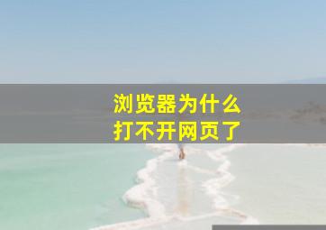 浏览器为什么打不开网页了