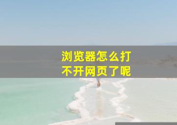 浏览器怎么打不开网页了呢