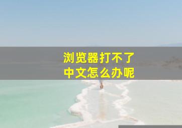 浏览器打不了中文怎么办呢