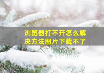 浏览器打不开怎么解决方法图片下载不了