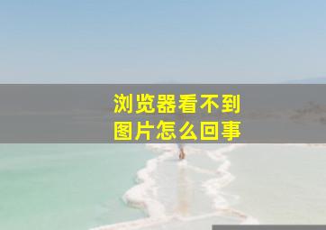 浏览器看不到图片怎么回事