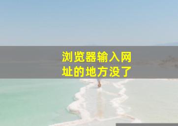 浏览器输入网址的地方没了