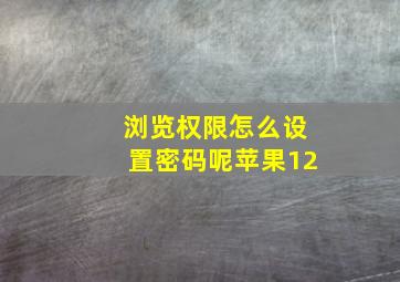 浏览权限怎么设置密码呢苹果12