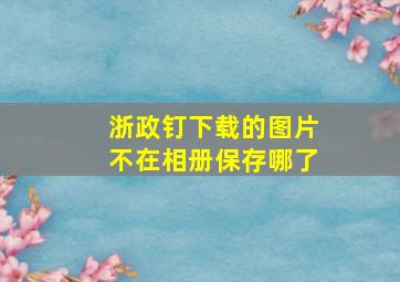 浙政钉下载的图片不在相册保存哪了