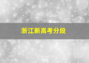 浙江新高考分段