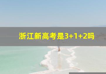 浙江新高考是3+1+2吗