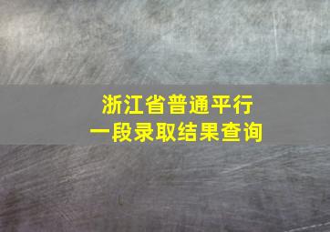 浙江省普通平行一段录取结果查询