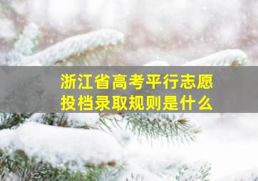 浙江省高考平行志愿投档录取规则是什么