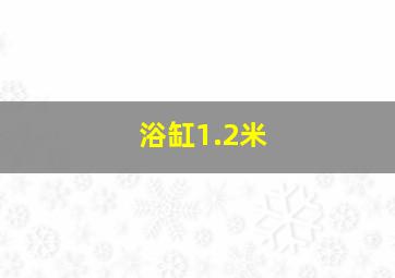 浴缸1.2米