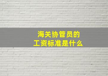 海关协管员的工资标准是什么